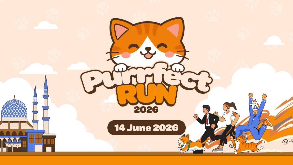 PURRFECT RUN 2026